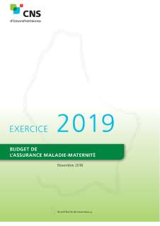 Budget de l'assurance Maladie-maternité - Exercice 2019 
