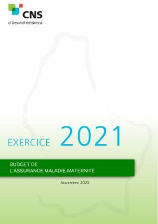 Budget de l'assurance maladie-maternité - Exercice 2021