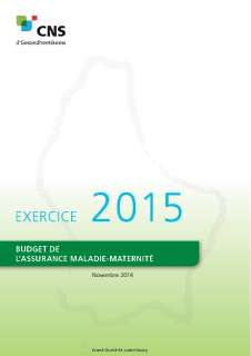 Budget de l'assurance Maladie-Maternité - Exercice 2015