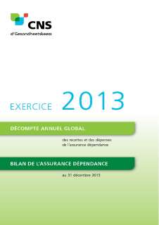 Décompte annuel de l'assurance dépendance - Exercice 2013