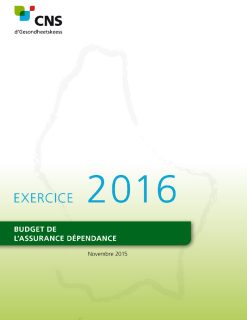Budget de l'assurance dépendance - Exercice 2016