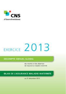 Décompte annuel de l'assurance Maladie-Maternité - Exercice 2013